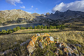 The lake of Allos and its sandstone towers of Annot, in the Haut Verdon, Alpes de Haute-Provence, France. A very pure lake, populated by Arctic char and trout, and located at 2230 meters of altitude in the Mercantour National Park, in the Alpes-de-Haute-Provence. Dominated by Mount Pelat (3052 metres) to the north and by the sandstone towers of Annot to the south, it is the largest natural high altitude lake in Europe