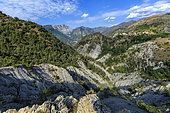 Slopes in marl and limestone, Dôme du Barrot, Alpes Maritimes, France. Collet Pointu, above Lieuche, Gorges du Cians