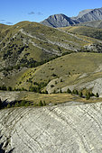 La haute Bleone, Alpes de Haute Provence. Alpage de la haute Bleone depuis le col de Vachière, Thorame Basse, Haute Provence, France