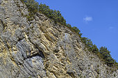 Cretaceous limestone in the Buëch. Cluse de Champ Bertrand, Upper Buëch Valley, Hautes-Alpes, France