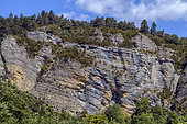 Cretaceous limestone in the Buëch. Cluse de Champ Bertrand, Upper Buëch Valley, Hautes-Alpes, France
