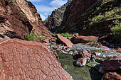 Mudcracks in the Permian pelites of the Cians Gorges, Alpes Maritimes, France. Permian pelites aged 250 Ma: clays of volcanic and detrital origin were oxidised under a tropical climate and slowly transformed into rocks, over a thickness of 1000 metres. Mudcracks were formed on the surface of sedimentation lagoons during dry periods in a tropical climate. Gorges du Cians, Dôme du Barrot