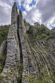 Peine water gap, Tartonne, Jurassic limestone strata, Geological Reserve of Haute Provence, Alpes de Haute Provence, France