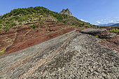 Permian pelites in the Daluis Gorges, Alpes Maritimes, France. Permian pelites aged 250 Ma: clays of volcanic and detrital origin were oxidised under a tropical climate and slowly transformed into rocks, over a thickness of 1000 metres. Daluis Gorges, Dôme du Barrot