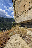 Ichnofossils in the Annot sandstone, Alpes de Haute Provence, France. Traces of biological fossil activity in the Annot sandstone (-34 to -30 Ma) which originated from massive arrivals of sands at the bottom of a sea by a process of submarine avalanches.