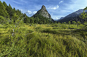 The Tour des Sagnes in Haute Ubaye. Emblematic sandstone tower of Annot (2364 m), overlooking a lake and a peat bog, framed by larches in a valley that has remained wild at the edge of the Mercantour National Park, Alpes-de-Haute-Provence, France