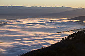 Sea of clouds from the crests of the Grand Luberon, France