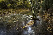 Aigue Brun river in autumn, Luberon, France