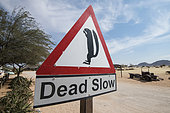 Road sign: beware of squirrels in Solitaire, Namibia