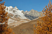 Haute Tinée in autumn, Mercantour National Park, Alps, France