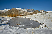 Haute Tinée in autumn, the Lauzarouotte pond (2123 m) and the Bonette peak (2860 m) Mercantour National Park, Alps, France