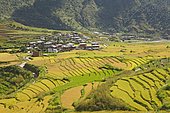 View of Lobesa and terraced rice fields, Punakha District, Bhutan, Asia