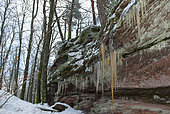 Sandstone rocks of the Northern Vosges with ice stalactites, Vosges du Nord Regional Nature Park, France