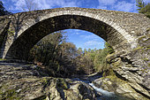 Old bridge in the Cevennes, Saint-Martin-de-Boubaux, Galaizon Valley, Cevennes, France