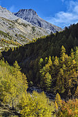 The valley of Maljasset in Haute Ubaye, High wild valley crossed by the Ubaye river, Maljasset, Haute Ubaye, Alpes de Haute-Provence, France