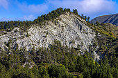 Strates plissotées dans le Haut Verdon, Marnes et calcaires crétacés alternés, Thorame-Haute, Alpes de Haute-Provence, France