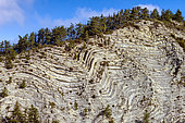 Folded strata in the Haut Verdon, alternating Cretaceous marl and limestone, Thorame-Haute, Alpes de Haute-Provence, France