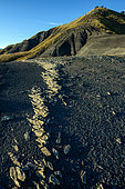 Terres Noires du col des Champs, dans le haut Verdon, Marnes du Jurassique (oxfordien) au col des Champs, entre Colmars et Entraunes, Alpes de Haute-Provence, France