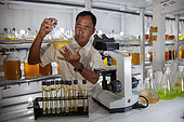 Aquaculture, Man in lab, plancton culture for baby grouper food, Aru Islands, Arafura Sea, Moluccas, Indonesia