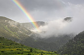 Rainbow on the mountain after the storm, Mantet Nature Reserve, Catalan Mountains, Pyrénées-Orientales, France
