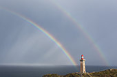 Rainbow over the Cap Béar lighthouse, Pyrénées-Orientales, Cap Bear and Cote Vermeille, France