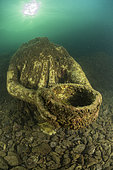 Statue of Ulysses with a cup of wine , is located in the submerged Nymphaeum of Emperor Claudius, near Punta Epitaffio , Marine Protected Area of Baia, Naples, Italy, Tyrrhenian Sea