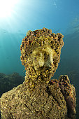 Statue of Antonia minor, member of the Julio-Claudian dynasty daughter of Marcus Anthony and the sister of the emperor Augustus, Octavia minor. Located in the submerged Nymphaeum of Emperor Claudius, near Punta Epitaffio , Marine Protected Area of Baia, Naples, Italy, Tyrrhenian Sea