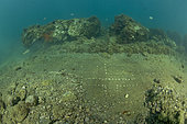 Earthenware (cocciopesto) floor, Porto Jiulius, a large sunken port settlement, was named after the Giulia family and built by that Marco Vipsanio Agrippa who also built the most famous Pantheon in Rome. Marine Protected Area of Baia, Naples, Italy, Tyrrhenian Sea