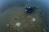 Scuba diver exploring parts of the polychrome mosaics situated in the thermal complex of Lacus Baianus, Marine Protected Area of Baia, Naples, Italy, Tyrrhenian Sea