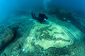 Scuba diver exploring a Bichrome mosaic floor in the apodyterium of the Bath situated immediately to the north of the “Villa con ingresso a protiro”, along the N-E shore of the Baianus lacus. The floor mosaic, in black and white tesserae, is framed by a monochrome triple band delimitating a central field with an agonistic subject, covering an area of approx. 12 square meters. In it four male figures are represented, made of black tesserae on a white background: two are athletes, testing themselves in wrestling, while the other two are badly preserved. As one of them holds a branch, he could probably be identified with the judge/trainer. Marine Protected Area of Baia, Naples, Italy, Tyrrhenian Sea