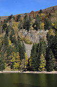 Altenweiher lake, under Rainkopf and Kastelberg, forest on scree, Hautes Vosges, Haut Rhin, France