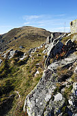 The Hohneck, the summit and the glacial cirque of Wormsp, Hautes Vosges, Haut Rhin, France