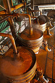 Crude palm oil extraction in processing factory, West Kalimantan, Indonesia