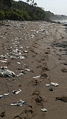 Plastic pollution on Ujung Kulon beach, National Park South Coast, West Java, Indonesia