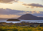 Sunset over lake Myvatn. Landscape at lake Myvatn. Europe, Northern Europe, Iceland