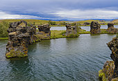 Lava chimneys, rock formations created during the cooling of a lava flow, Hoefdi nature reserve. Landscape at lake Myvatn. Europe, Northern Europe, Iceland