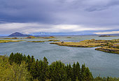 Landscape at lake Myvatn. Europe, Northern Europe, Iceland