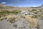 High valley of the Rio Maule, Andes Mountains, Maule Region, Chile