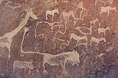 The famous lion panel at the Twyfelfontein rock engravings west of the town of Khorixas. World Heritage Site. Damaraland, Kunene Region, Namibia.