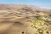 Arid plains and the Brandberg, Namibia's highest mountain. Aerial view. Drone shot. Damaraland, Erongo Region, Namibia.