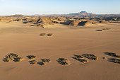 Sandy desert plains and bare mountain ranges. Aerial view. Drone shot. Damaraland, Kunene Region, Namibia.