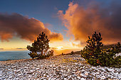 Stones in the Mont Ventoux massif, at sunset, Vaucluse, France