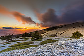 Stones in the Mont Ventoux massif, at sunset, Vaucluse, France