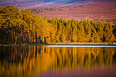 Loch Mallachie at sunset, Cairghorms National Park, Scotland.