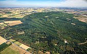 Aerial view, lignite open-pit mining, reforestation, heap with forest Etzweiler, Welldorf, Jülich, Rhineland, North Rhine-Westphalia, Germany, Europe