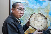 Doctor Alexander Isaev, researcher specializing in forests, geobotany and ecology in his office at the Institute of Biology and Cryolithozone Problems in Yakutsk showing the traces of the fires which appear on a trunk seen in section, Republic of Sakha, Russia