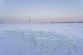 Extraction of ice cube from the Lena river for use as drinking water by residents without access to running water, Yakutsk, Republic of Sakha, Russia