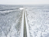 Aerial view of charred trees in the taiga around Berdigestiakh following the 2021 fires, Sakha Republic, Russia