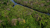 Aerial Cikeusik river, Ujung Kulon National Park, South Coast, West Java, Indonesia