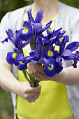 Iris Flashlight ®